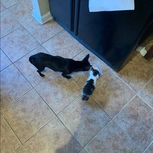 Meet your Posher, Whitney